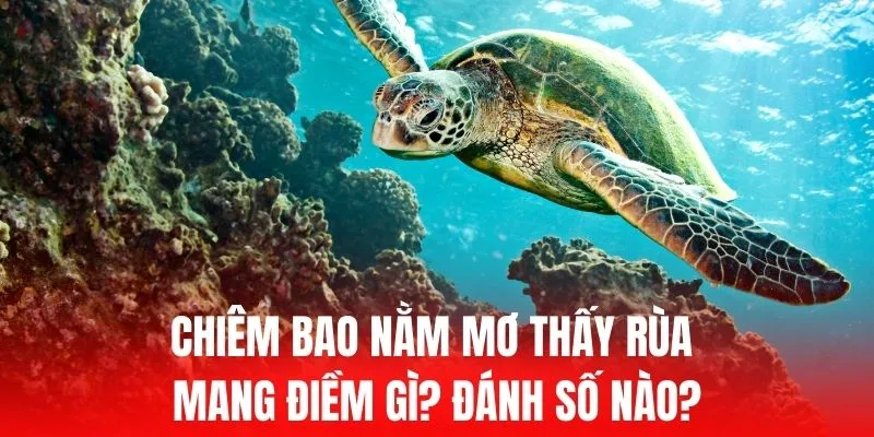 Tổng quan về Giải đấu Esports Net88 năm 2026 - Net88