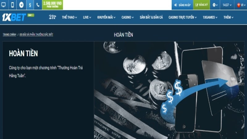 Bí quyết chinh phục kho báu trong trò chơi bắn cá cấp độ Net88 - Net88